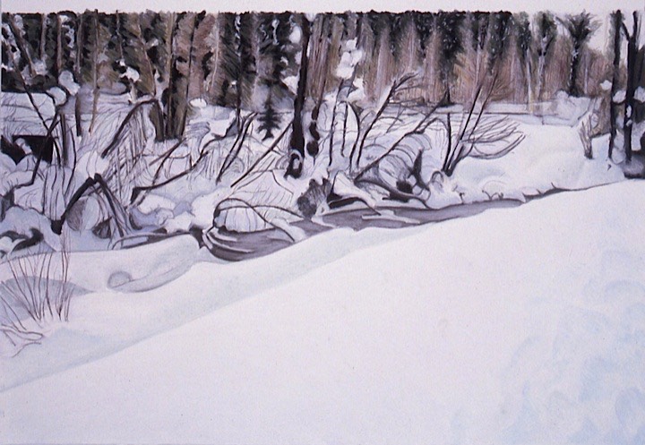©1994 Jan Aronson The Big Wood #5 Pastel on Paper 21X30