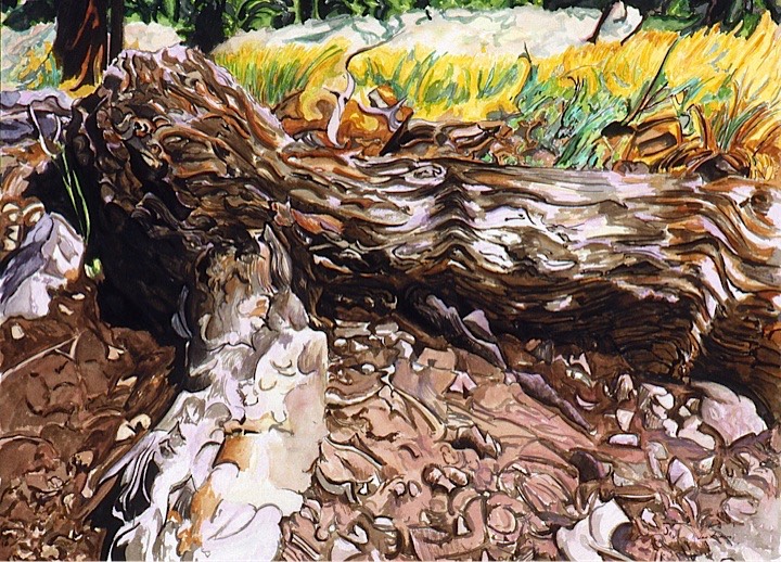 ©1994 Jan Aronson Toward Mill Lake #2 Watercolor on Paper 18X24
