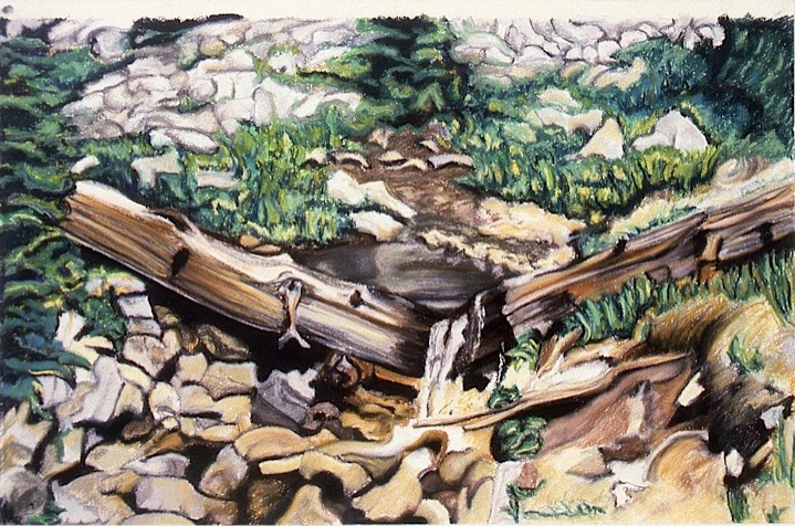 ©1995 Jan Aronson Cabin Creek #7 Pastel on Paper 15.5x23.5