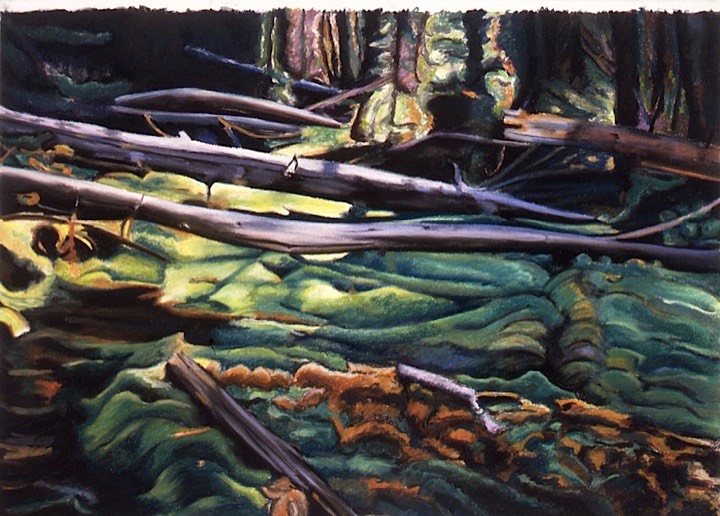 ©1995 Jan Aronson Miner Creek #2 Pastel on Paper 21.5x30
