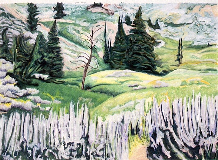 ©1996 Jan Aronson Above Johnstone Creek Pastel on Paper 21.5x30