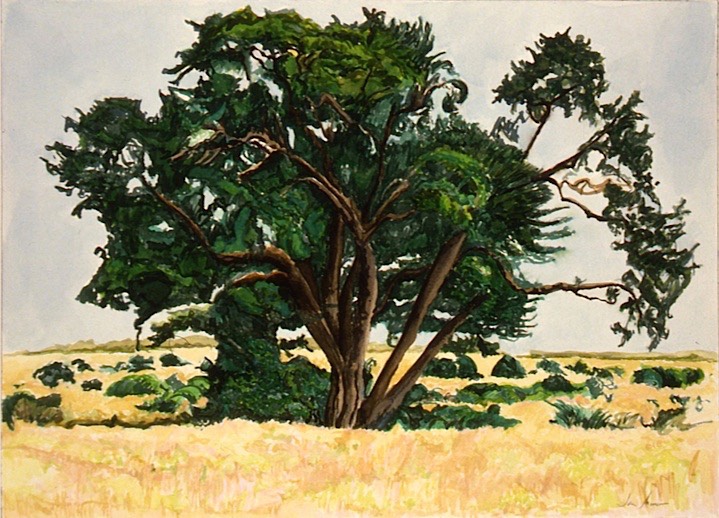 ©1997 Jan Aronson Kenya #20 Watercolor on Paper 10x14