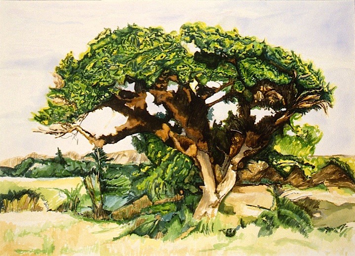 ©1997 Jan Aronson Kenya #4 Watercolor 10x14