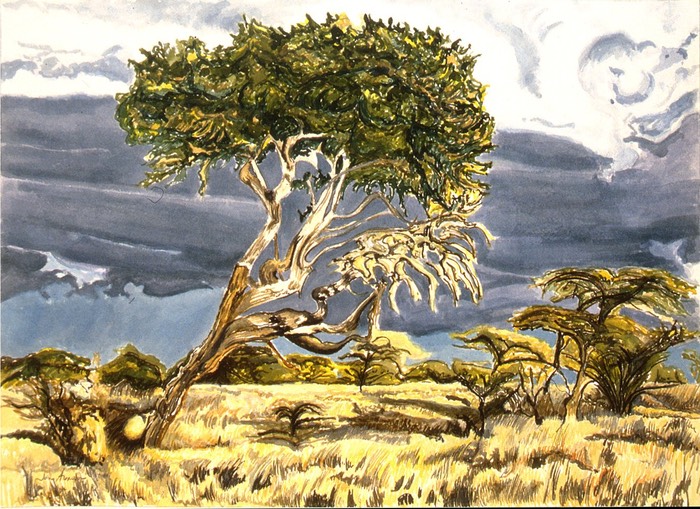 ©1997 Jan Aronson Kenya #8 Watercolor on Paper 10x14.jpg