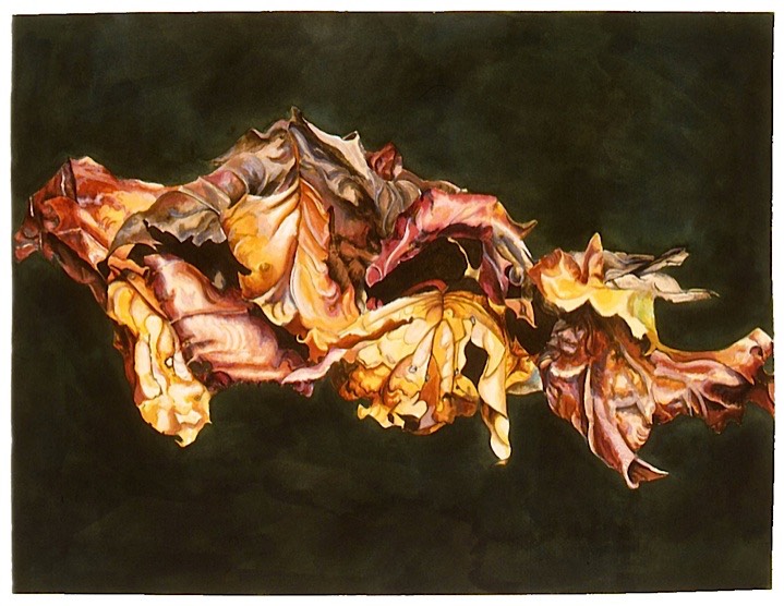 ©2001 Jan Aronson Leaves #1 Watercolor Paper 18x24