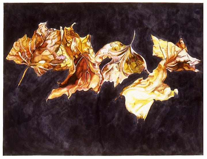 ©2002 Jan Aronson Leaves #4 Watercolor Paper 18x24