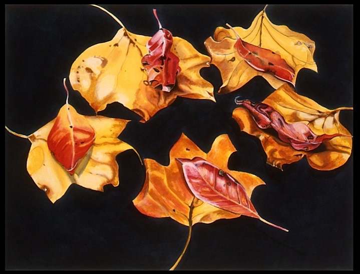 ©2003 Jan Aronson Leaves #11 Watercolor Paper 18x24