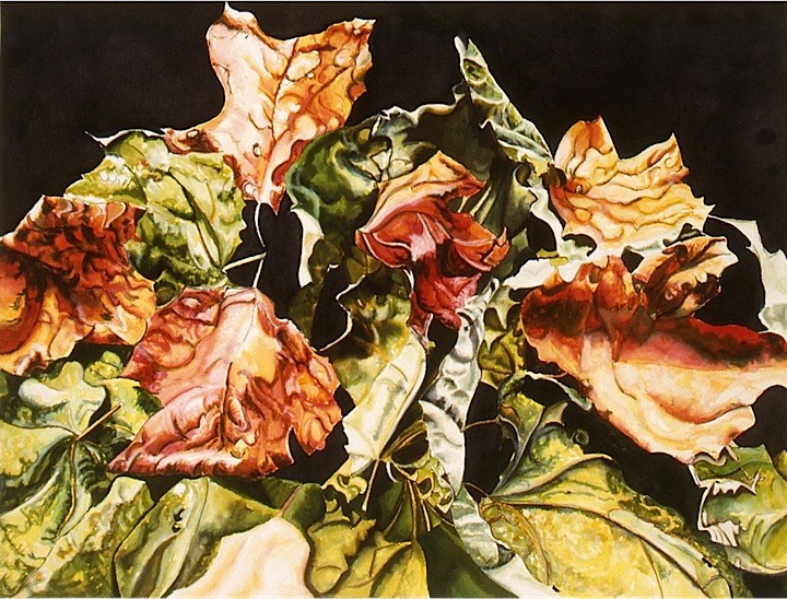 ©2003 Jan Aronson Leaves #14 Watercolor Paper 18x24