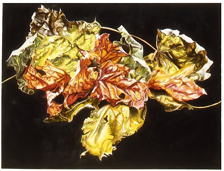 ©2003 Jan Aronson Leaves #9 Watercolor Paper 18x24
