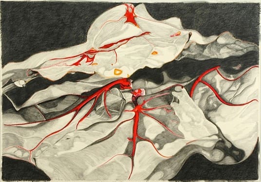 A painting of blood vessels in the body